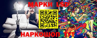 гашик Будённовск