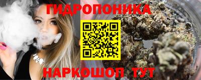 гашик Будённовск