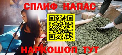 гашик Будённовск