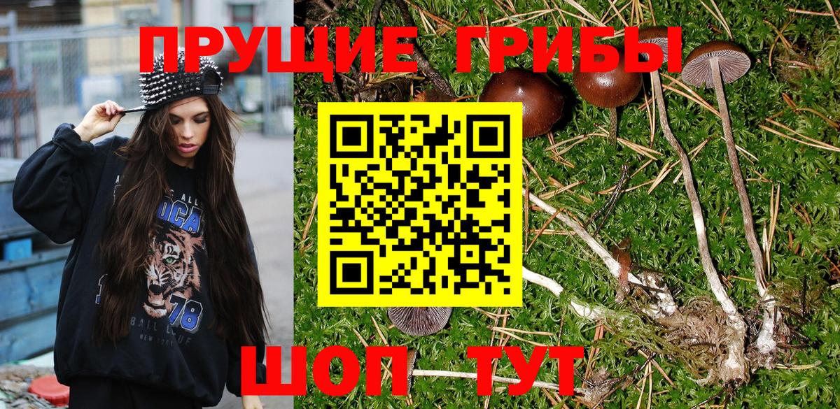 Галлюциногенные грибы MAGIC MUSHROOMS Реж